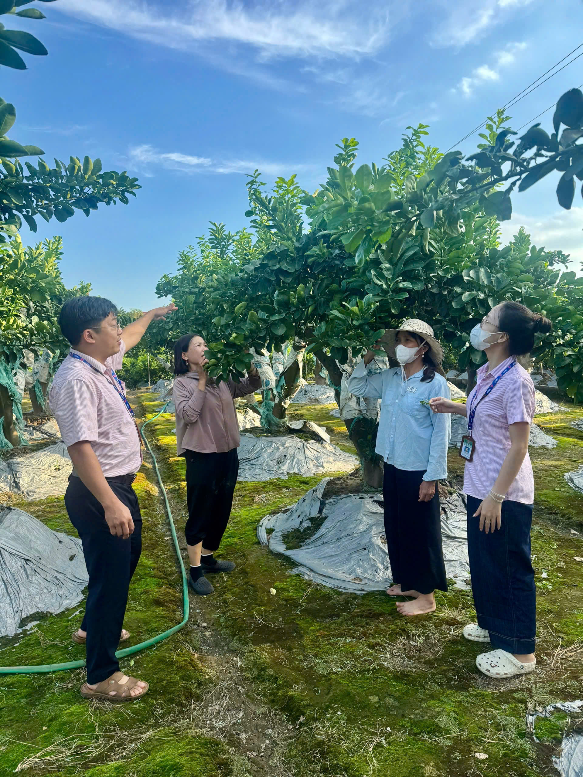 Ngân hàng Chính sách xã hội thực hiện giảm lãi suất cho vay đối với khách hàng vay vốn theo Quyết định số 2654/QĐ-TTg ngày 04/12/2025 của Thủ tướng Chính phủ